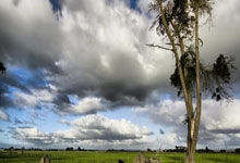 天涯论坛最惊人的十大神贴