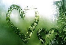 揭秘天涯神贴六大家族的江湖恩怨