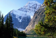 揭秘天涯神贴六大家族的江湖恩怨