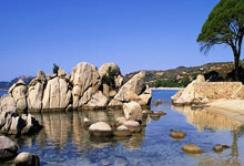 教你如何登录天涯论坛：简单教程